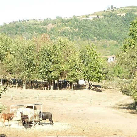 Il Grappolo In Langa Villa Monastero Bormida Luaran gambar