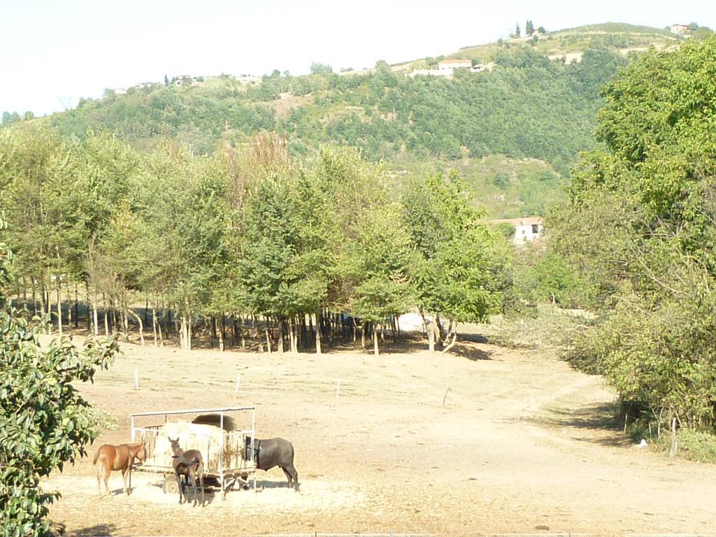 Il Grappolo In Langa Villa Monastero Bormida Luaran gambar